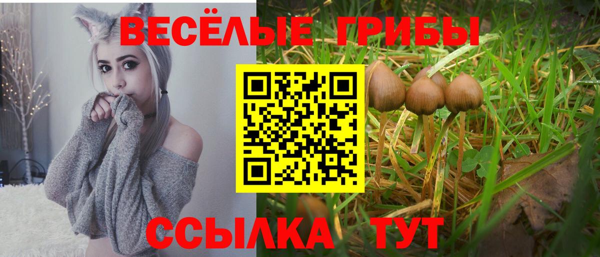 Алапаевск  Псилоцибиновые грибы Psilocybe  Вход с VPN 